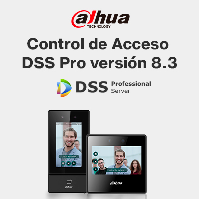 Control-de-acceso-DSS-8.3